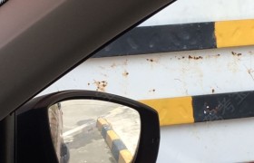 阳江新大众驾校