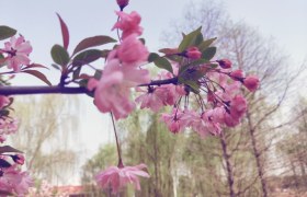 庆阳平安驾校