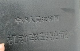 阜新卓尔驾校