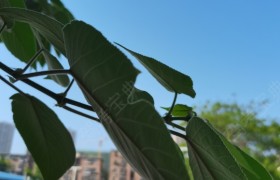 郑州鸿通驾校