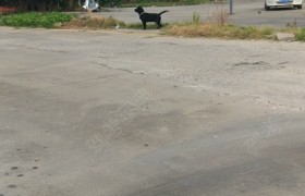 扬州大桥驾校