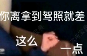 大理白族自治州青松驾校