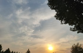 新乡伟达驾校