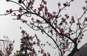 泰安长城驾校