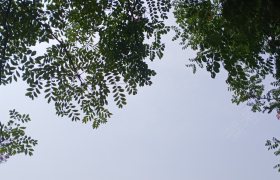 襄阳光武驾校