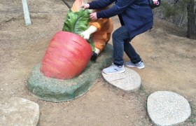 大连金盾驾校