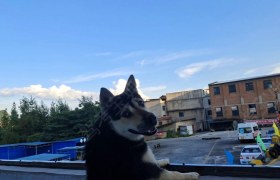 贵阳诚信驾校