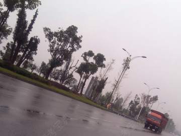 顺达驾校