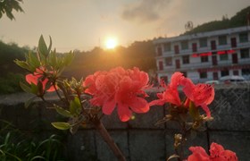 毕节园区驾校