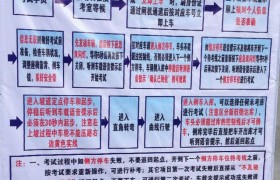 岳阳星岭驾校