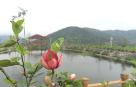 龙岩茂源驾校