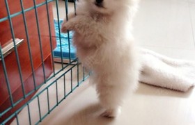 郴州安顺驾校