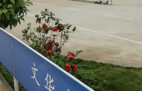 柳州恒达驾校