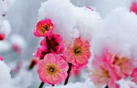 安阳安捷公交驾校