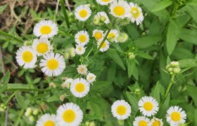 信阳扶贫驾校