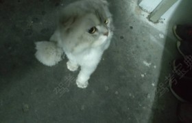 惠州顺泰驾校