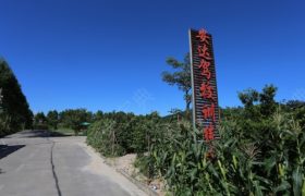 珠海安达驾校