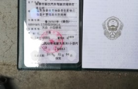 泰安新汶驾校