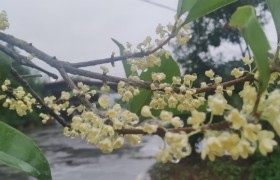 巴中永安驾校