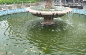 衡水安盛驾校