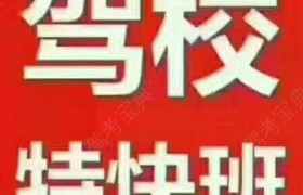 巴音郭楞蒙古自治州东归驾校