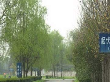 康福德高驾校