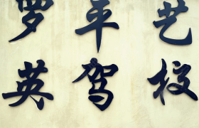 曲靖罗平艺英驾校