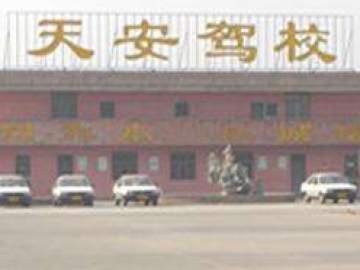 天安驾校