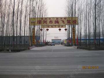 腾飞驾校