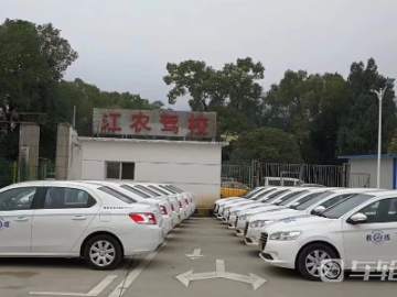 江农驾校