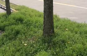 苏州常熟交运驾校