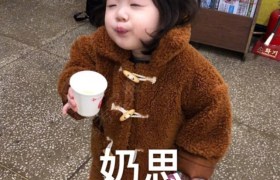 昌吉回族自治州万和驾校