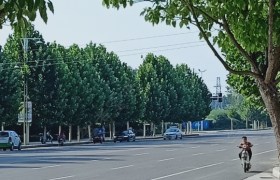 平顶山宏顺驾校