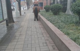 洛阳通运驾校