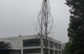 合肥安农大驾校