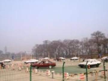 伟达驾校