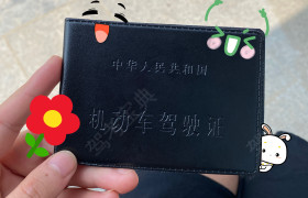 信阳金阳光驾校