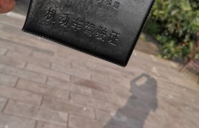 雅安严道驾校