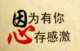 镇江华东驾校