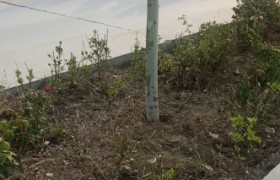 保定虎振驾校
