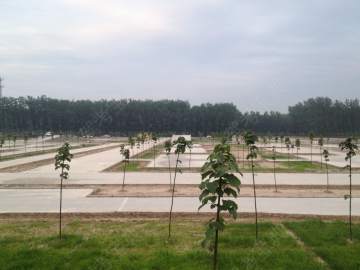 平安行驾校