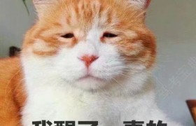 吉林九新驾校