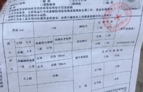 保定程前驾校