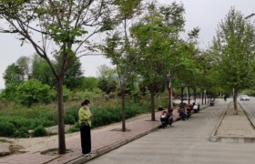 宝鸡景远驾校