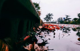 临沂正阳驾校