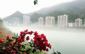 重庆顺通驾校