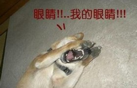 潍坊恒宇驾校