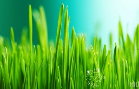 克拉玛依通德驾校
