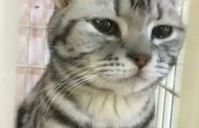 丹东祥和驾校