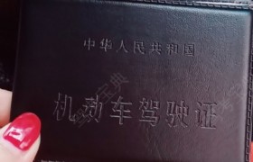 湖州顺远驾校